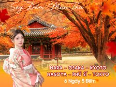 NARA – OSAKA – KYOTO – NAGOYA – PHÚ SĨ – TOKYO