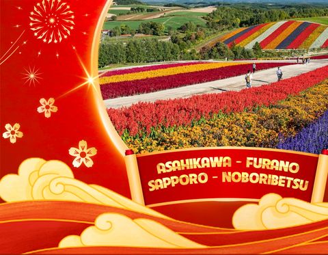 ASAHIKAWA - FURANO - SAPPORO - NOBORIBETSU - SAPPORO