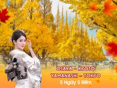 OSAKA – KYOTO - YAMANASHI – TOKYO