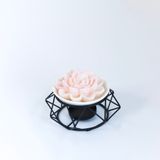 Bộ đĩa khuếch tán tinh dầu/đun chảy nến hoa
