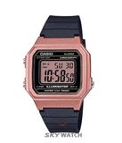 ĐỒNG HỒ CASIO W-217HM-5AVDF