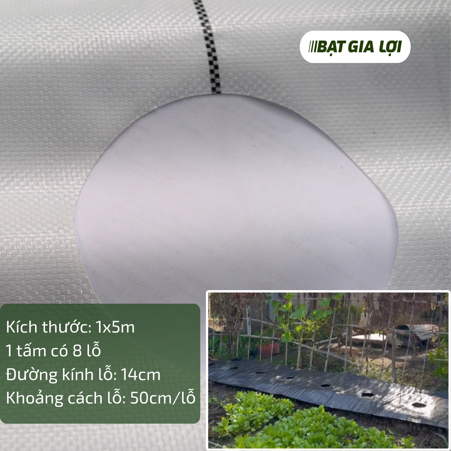 Bạt Phủ Gốc Cây Đục Lỗ 180gr/m2 Trắng - 1mx5m