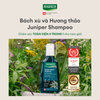 /products/dau-goi-rausch-juniper-chiet-xuat-cay-bach-xu-200ml