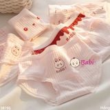 SET 6 QUẦN CHIP HÌNH THỎ HỒNG (40-55kg)