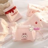 SET 6 QUẦN CHIP HÌNH THỎ HỒNG (40-55kg)