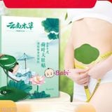 Miếng Dán Tiêu Hóa Giúp Tan Mỡ Bụng