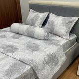 Bộ Drap Victoria TLV114