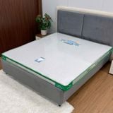 Nệm Cao Su Tổng Hợp Băng Lạnh Chần Viền