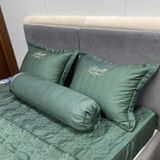 Bộ Drap Couple TSC17