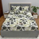 Bộ Drap White Swan TLC573