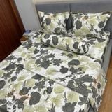 Bộ Drap White Swan TLC573