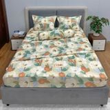 Bộ Drap Victoria TLV110