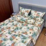 Bộ Drap Victoria TLV110