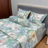 Bộ Drap White Swan TLC572