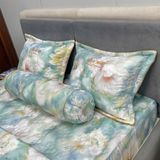 Bộ Drap White Swan TLC572