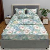 Bộ Drap White Swan TLC572