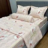 Bộ Drap White Swan TLC399