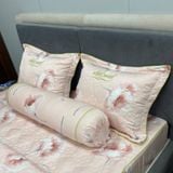 Bộ Drap White Swan TLC399