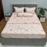Bộ Drap White Swan TLC399