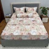 Bộ Drap Victoria TLV120