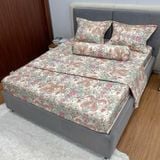 Bộ Drap White Swan TLC576