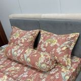 Bộ Drap White Swan TLC578