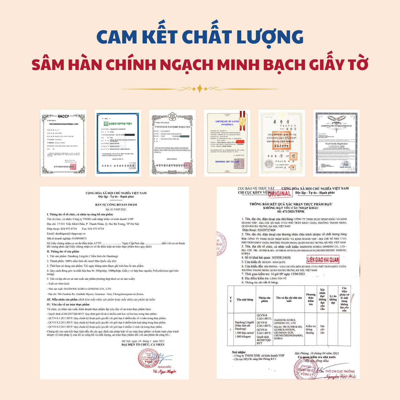 VHP Ginseng - Cam kết chất lượng với từng sản phẩm