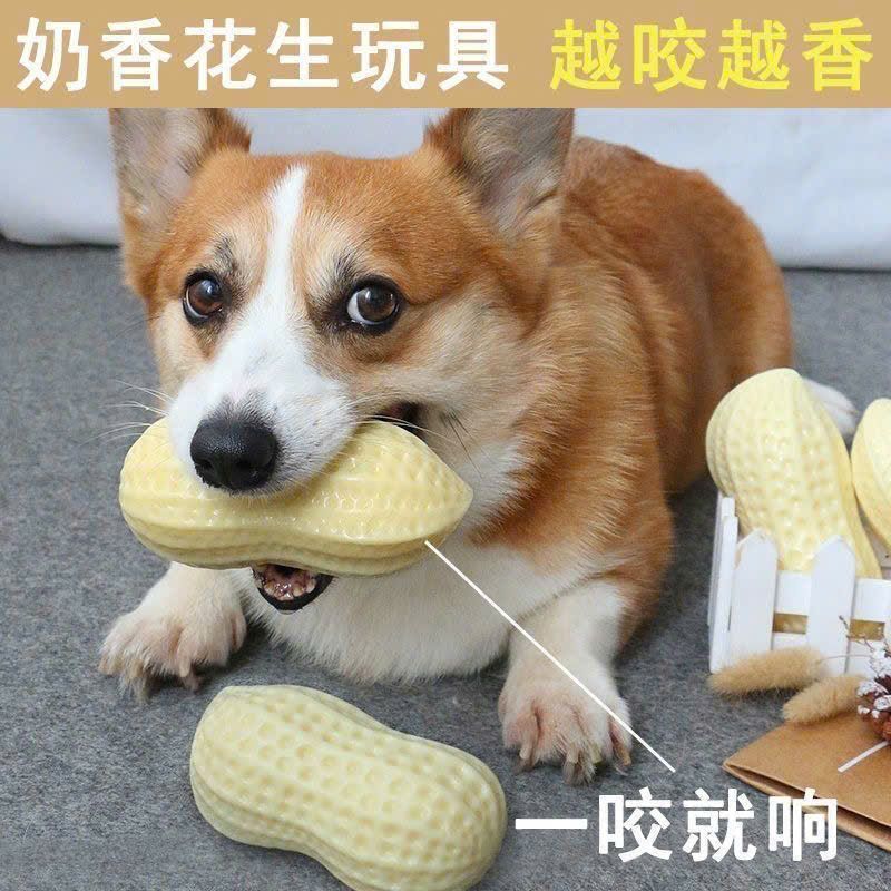Đồ Chơi Thú Cưng