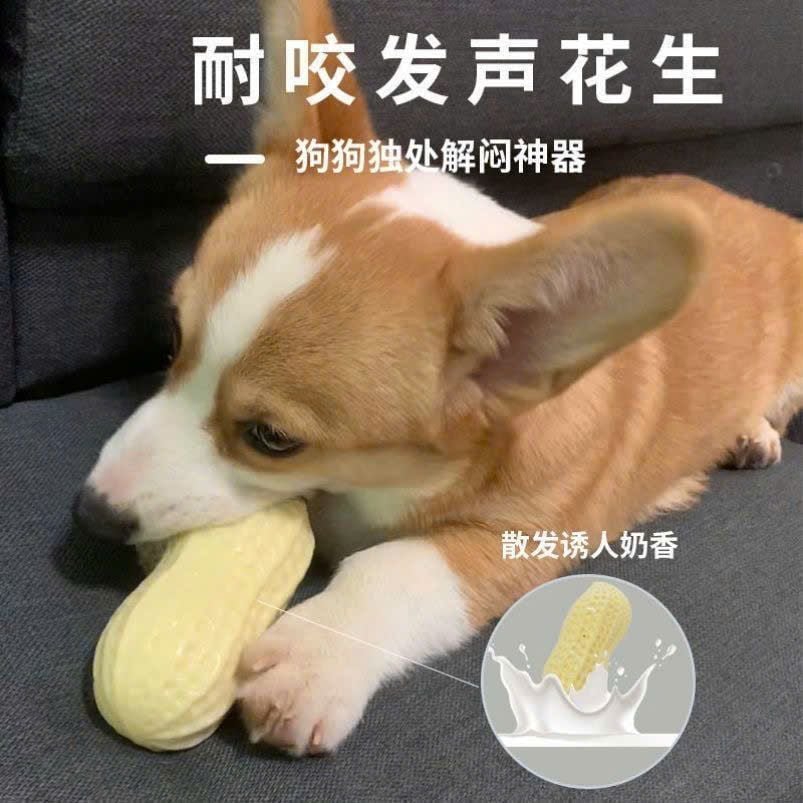 Đồ Chơi Thú Cưng