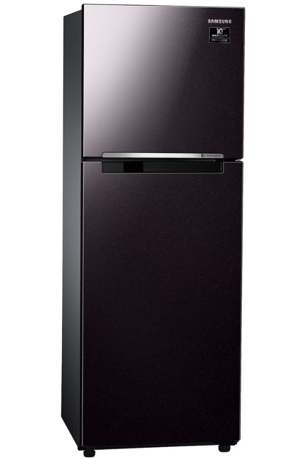 Tủ lạnh Samsung RT22M4032BY/SV Inverter 236 lít