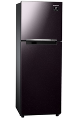 Tủ lạnh Samsung RT22M4032BY/SV Inverter 236 lít