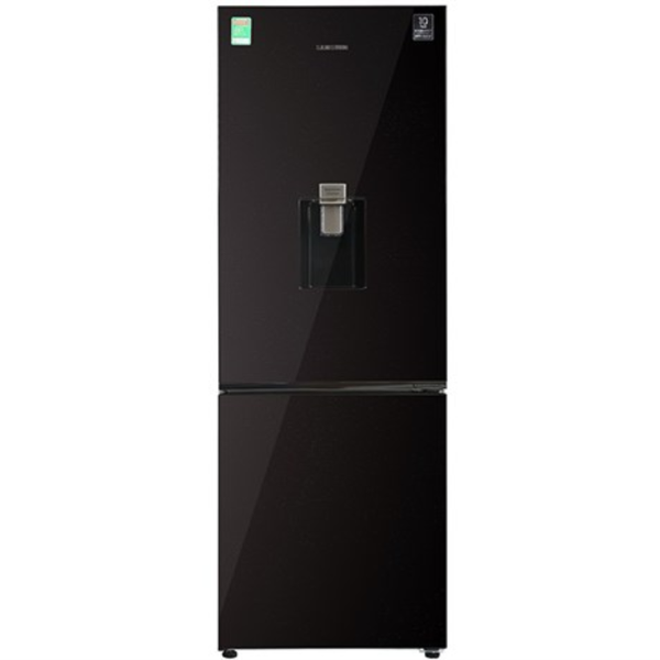 Tủ lạnh Samsung RB30N4190BY/SV 307 lít