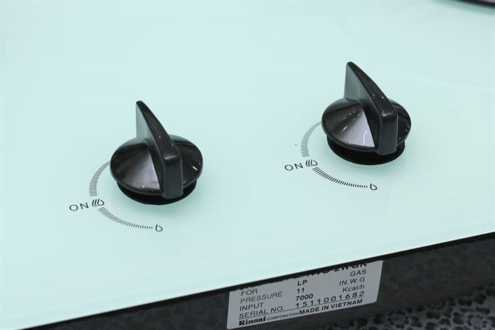 Bếp gas âm Rinnai RVB-2WGN