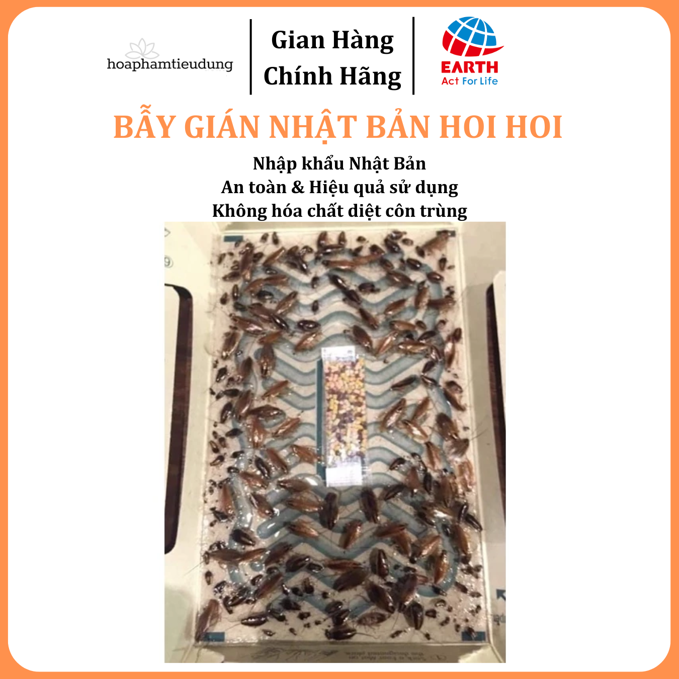 Bẫy gián Nhật bản Hoi Hoi - diệt gián an toàn, hiệu quả từ Nhật Bản
