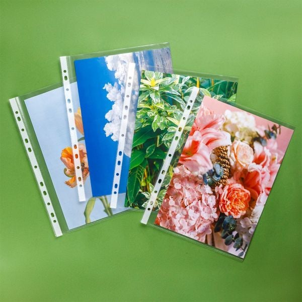 Lá đục lỗ (Bìa lỗ)