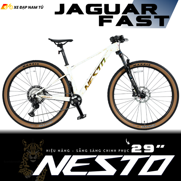 nesto_jaguar_fast__3__d2c7f4e5