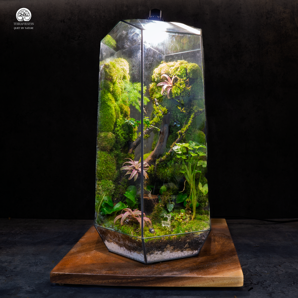 qua-tang-doi-tac-vip-terrarium-cao-cap-terrafulness-sang-trong