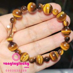 Hình ảnh bài viết