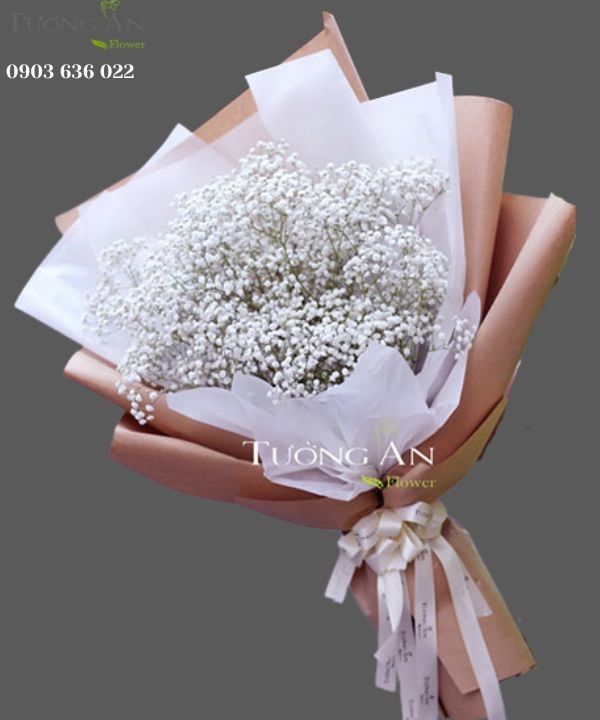 Bó Hoa Baby’s Breath - S386