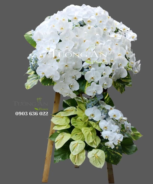 Kệ Hoa Tang Lời Chia Tay - S340