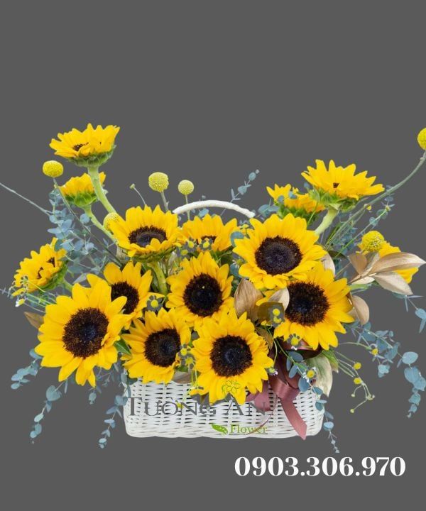 Giỏ Hoa Vươn Tới Mặt Trời - MM148