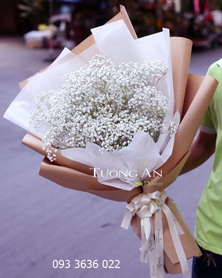 Bó Hoa Baby’s Breath - S386
