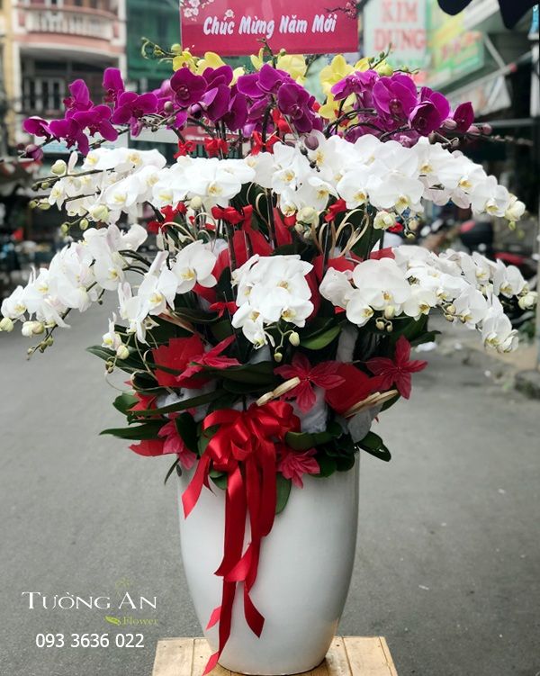 Chậu Lan Hồ Điệp Xoay Tròn - S954