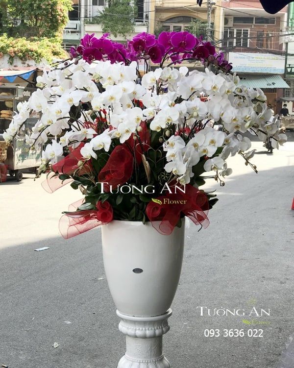 Chậu Lan Hồ Điệp Xoay Tròn - S957