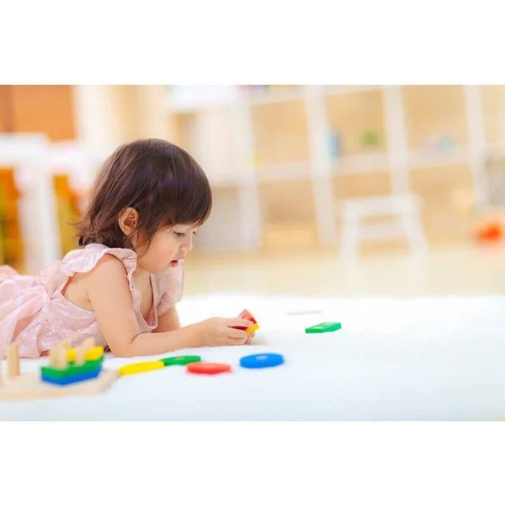 Đồ Chơi Gỗ PlanToys Phân Loại Hình Khối Geometric Sorting Board Cho Bé 2Y+