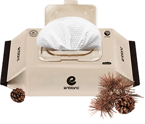 Khăn Ướt Chiết Xuất Từ Hạt Dẻ Cho Bé ENBLANC BEIGE - 72 Tờ