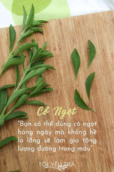 Cỏ Ngọt Stevia Nguyên Lá Sấy Lạnh — Vị Ngọt Tự Nhiên, Không Calo