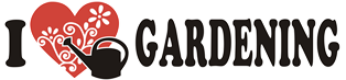 Vườn ươm cây hoa cảnh ILG