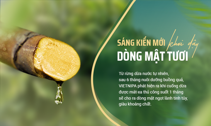 SẢN PHẨM NỔI BẬT