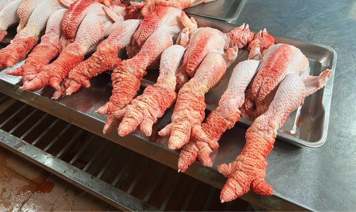 Gà Đông Tảo Quà Biếu